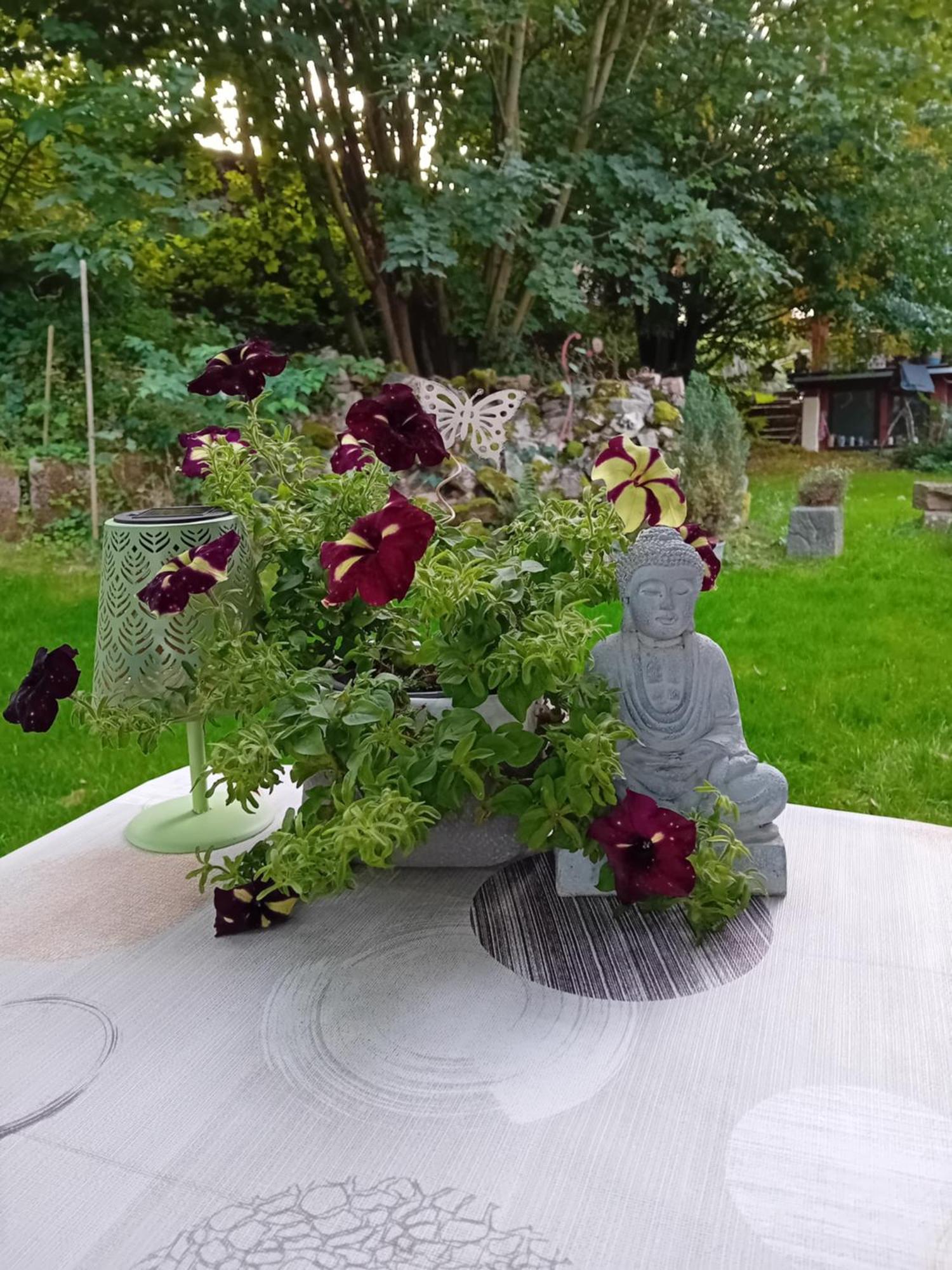 Ferienhaus Mit Garten Im Odenwald Zu Vermieten Frankisch-Crumbach Eksteriør bilde